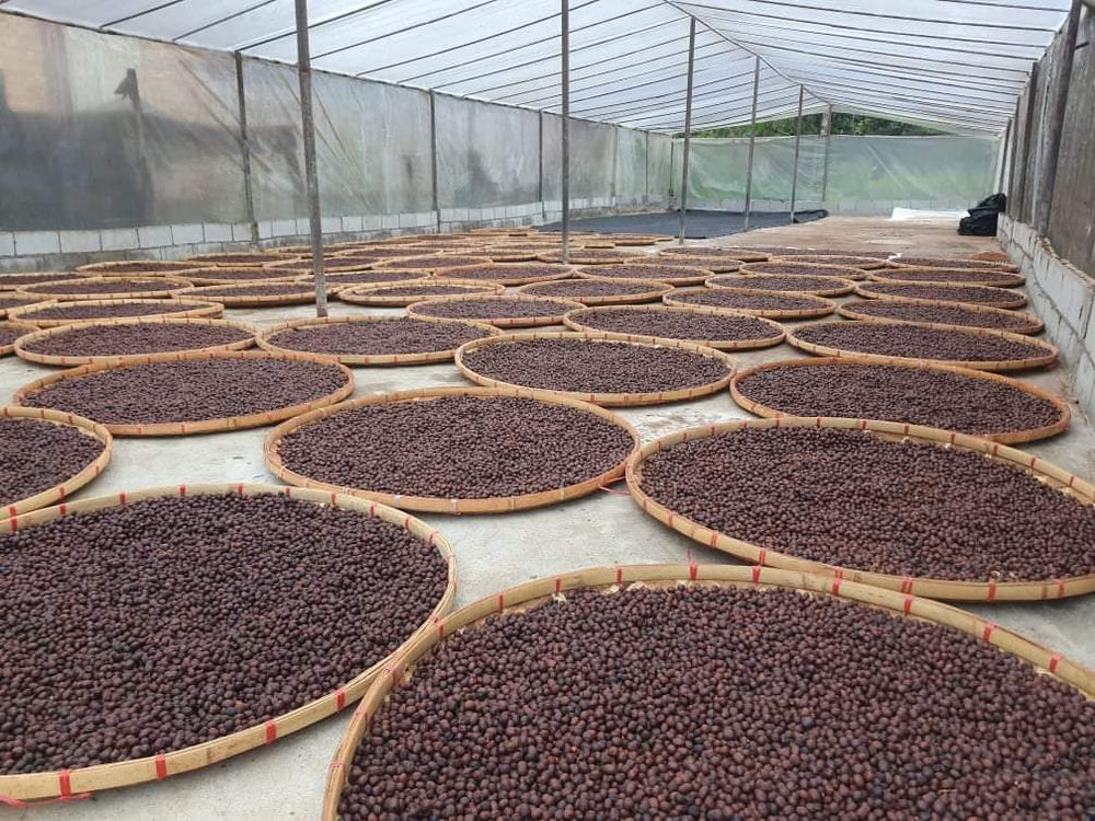 Coffee Prices Have Fallen. Your Coffee Is Still Too Cheap.