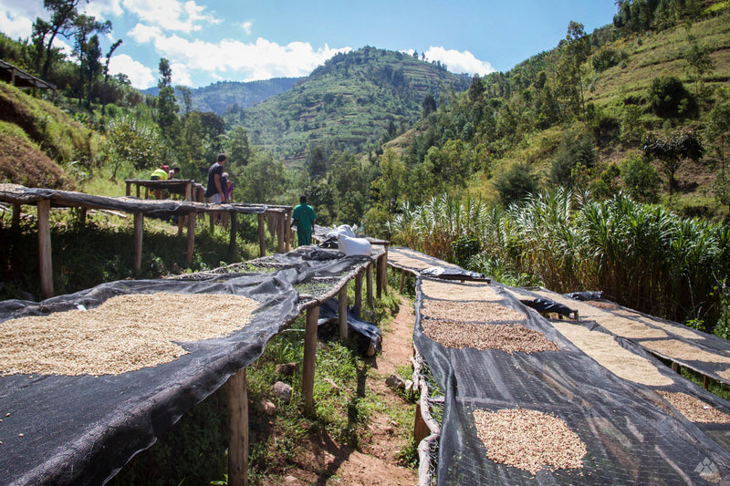 Rwanda Pt. 2